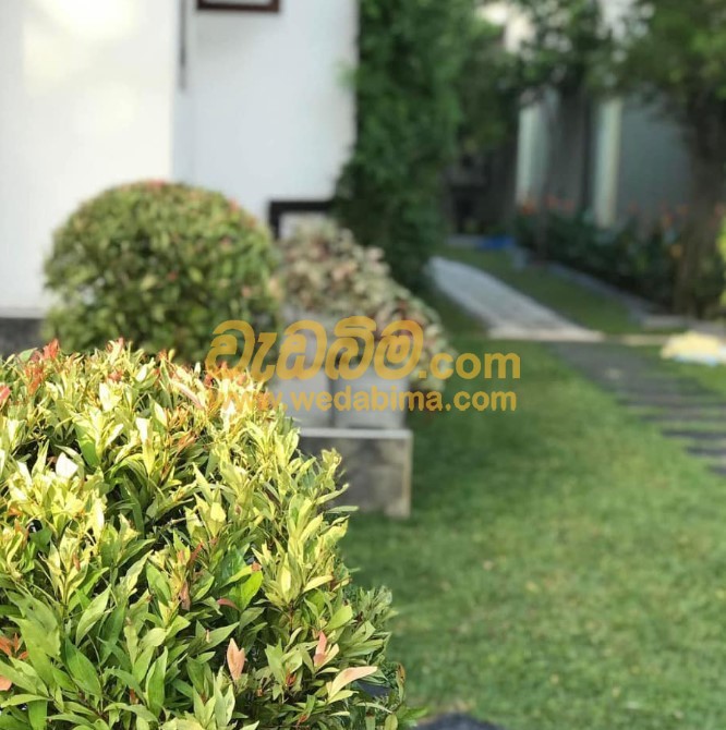 landscaping work in sri lanka