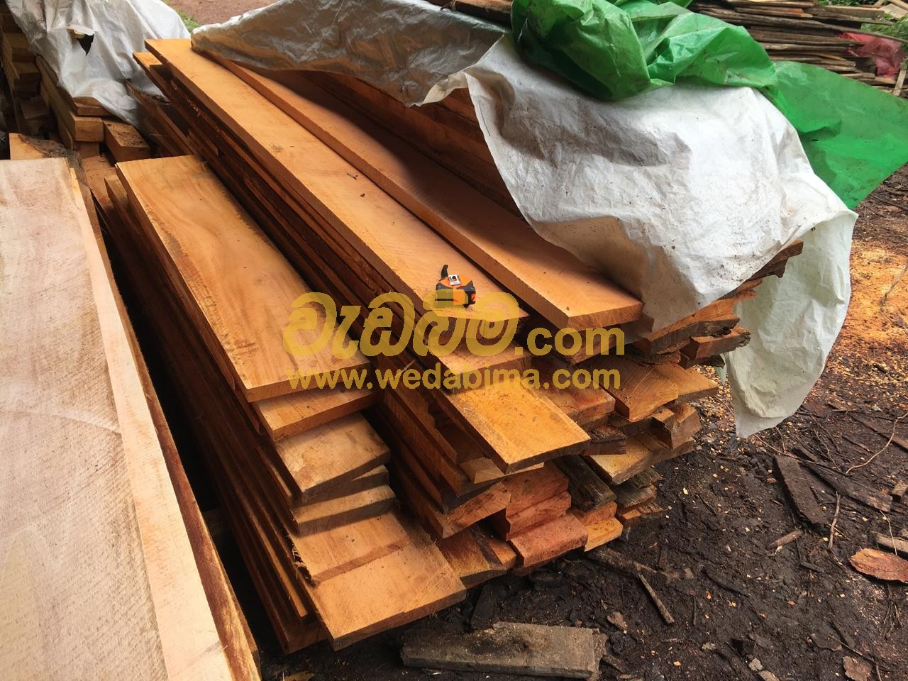 Mahogany Wood price in gampaha