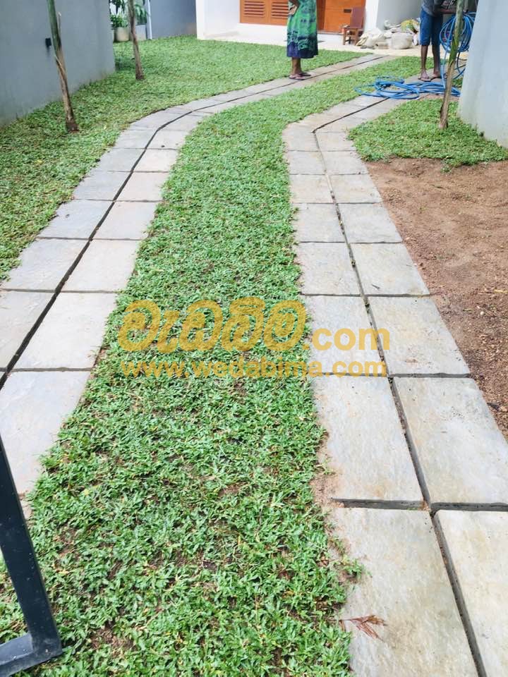 ornamental grass landscape design in sri lanka