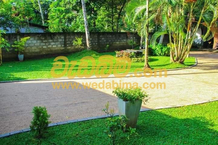 landscaping for small gardens in sri lanka