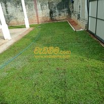 Landscape Contractors in Sri Lanka