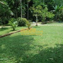 landscaping prices in sri lanka