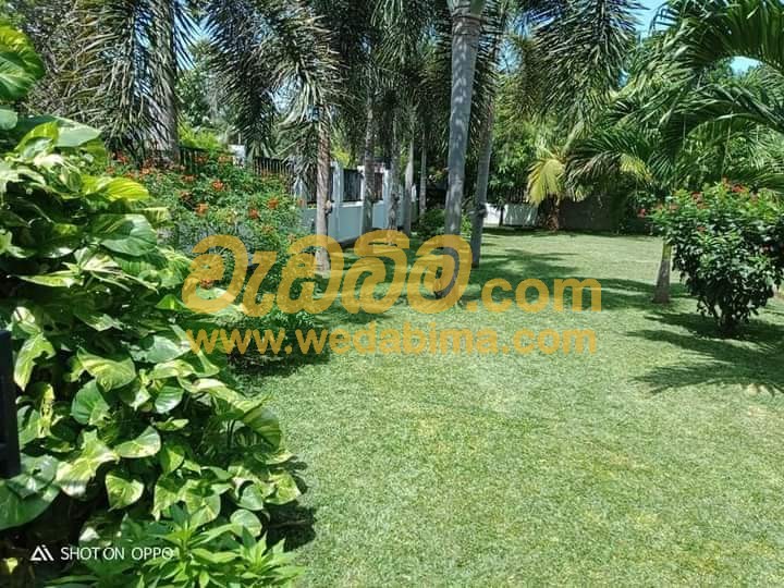 Landscaping services in Sri Lanka