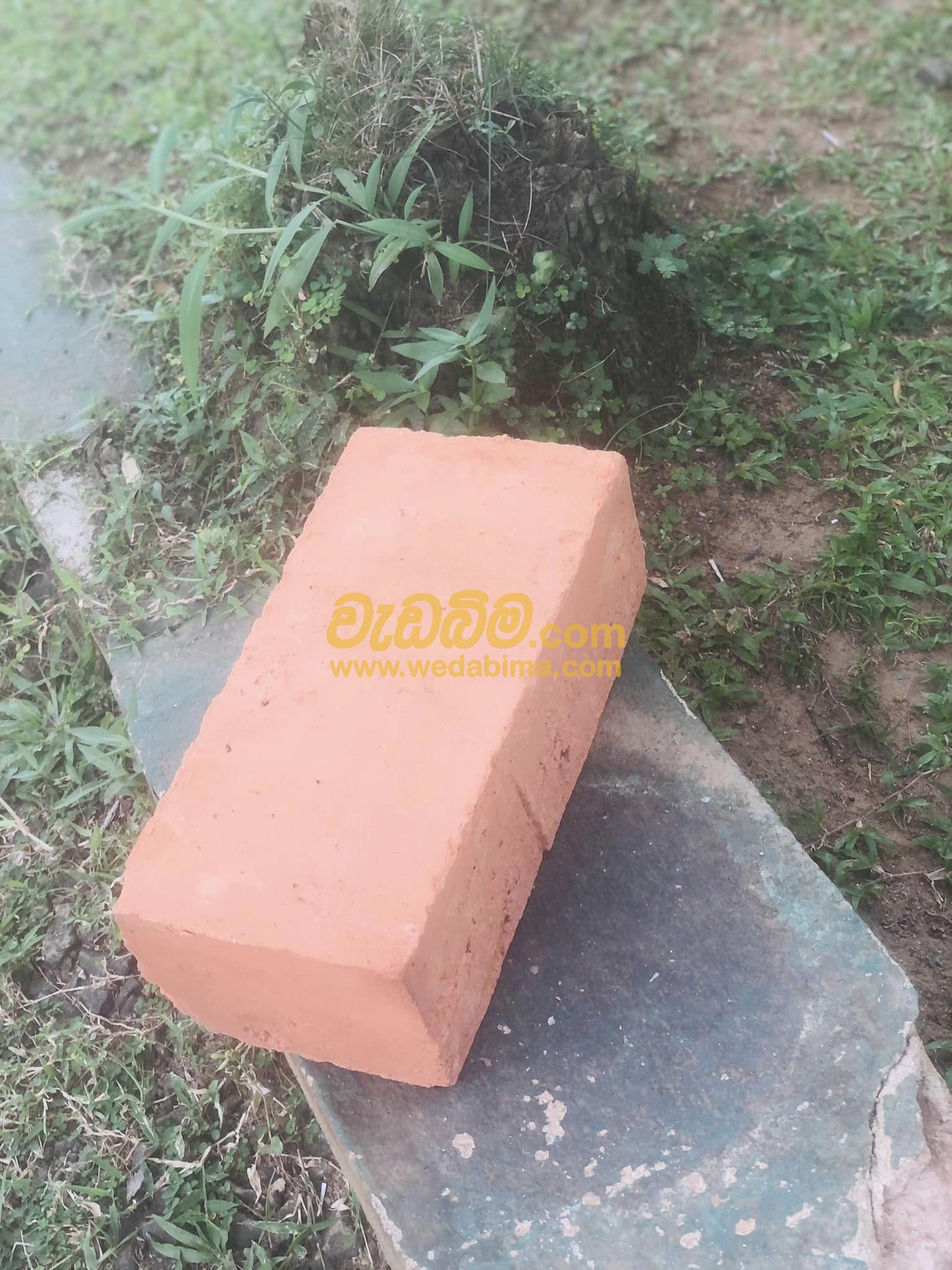 bricks colombo price