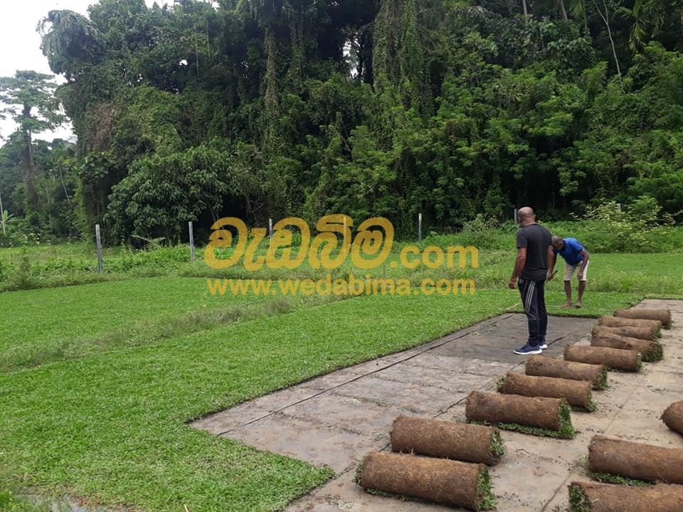 Landscape Work Sri Lanka