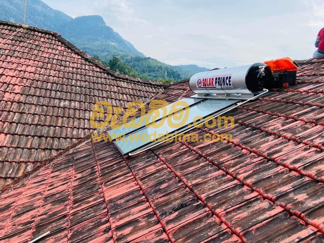 Solar Water Heater - Panel Type