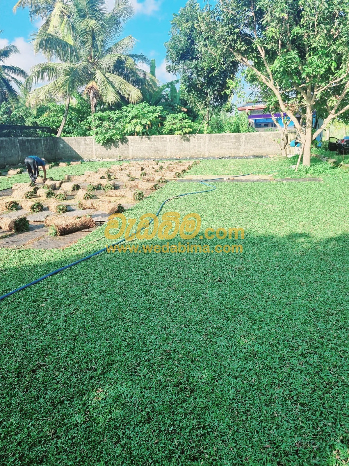 Landscaping companies in Sri Lanka