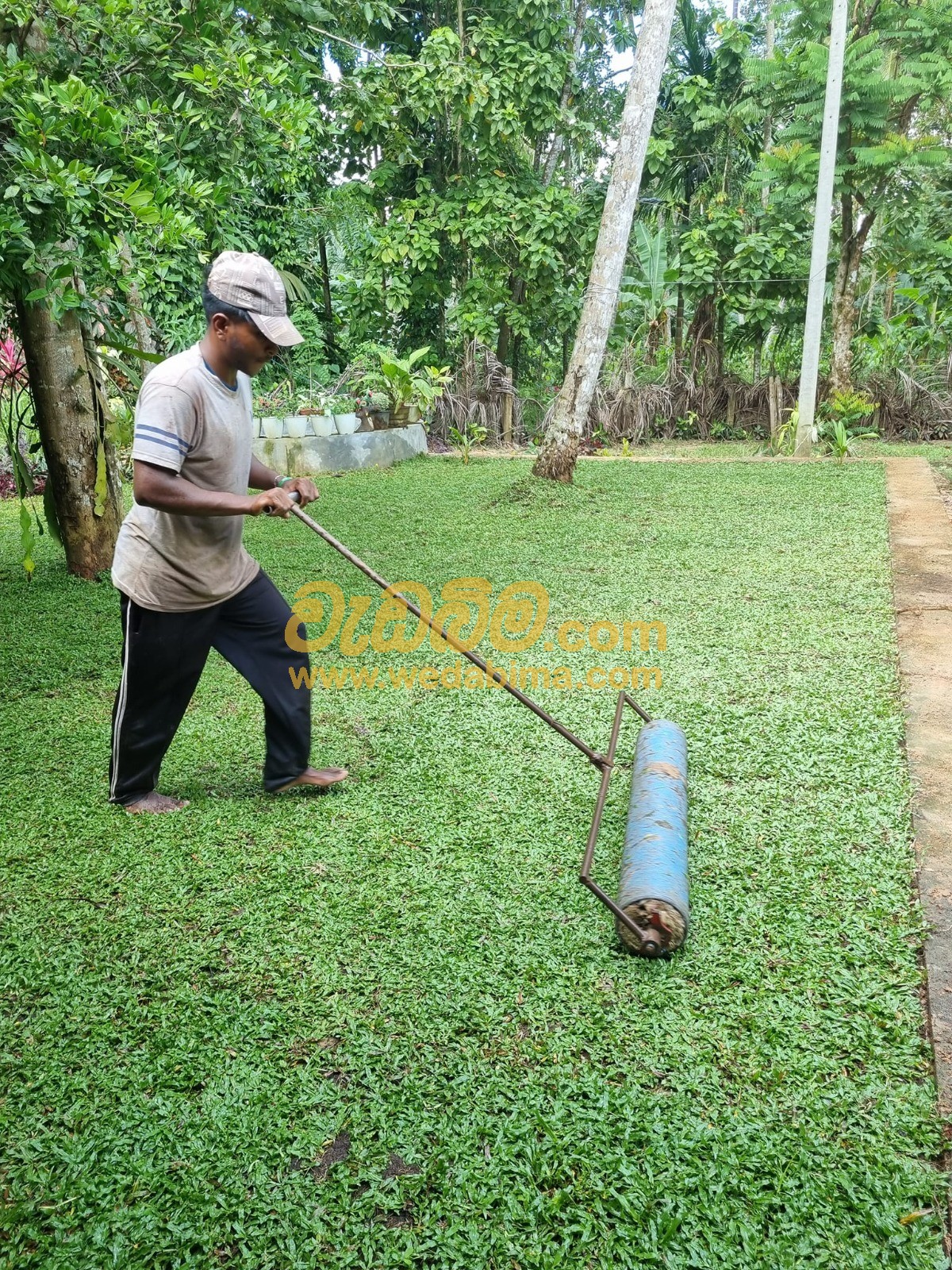 Cover image for Garden services in Colombo