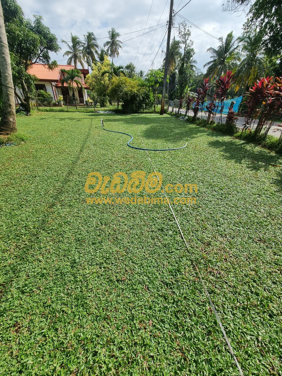 garden maintenance services sri lanka