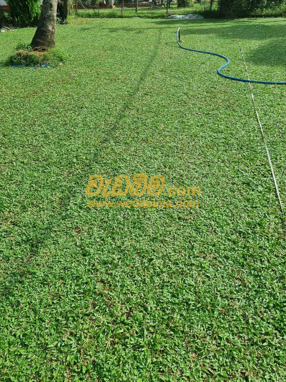 landscaping solution in sri lanka