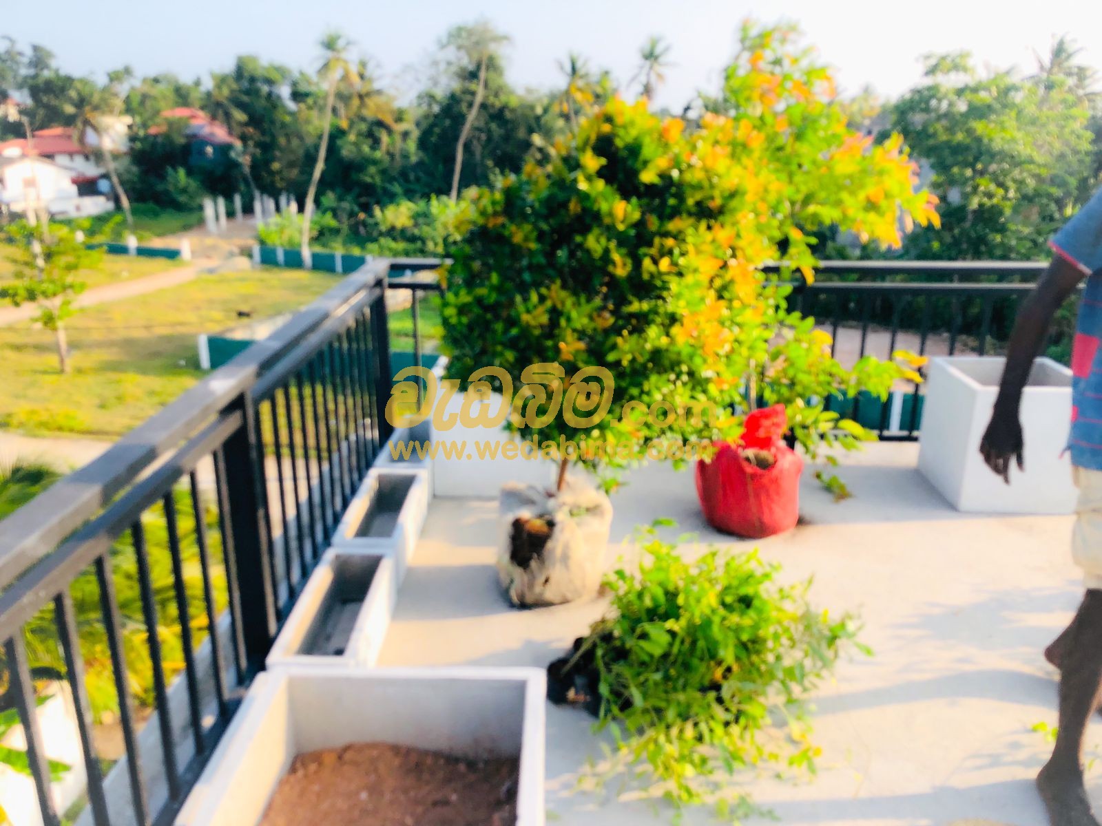 Cover image for landscaping solution in sri lanka