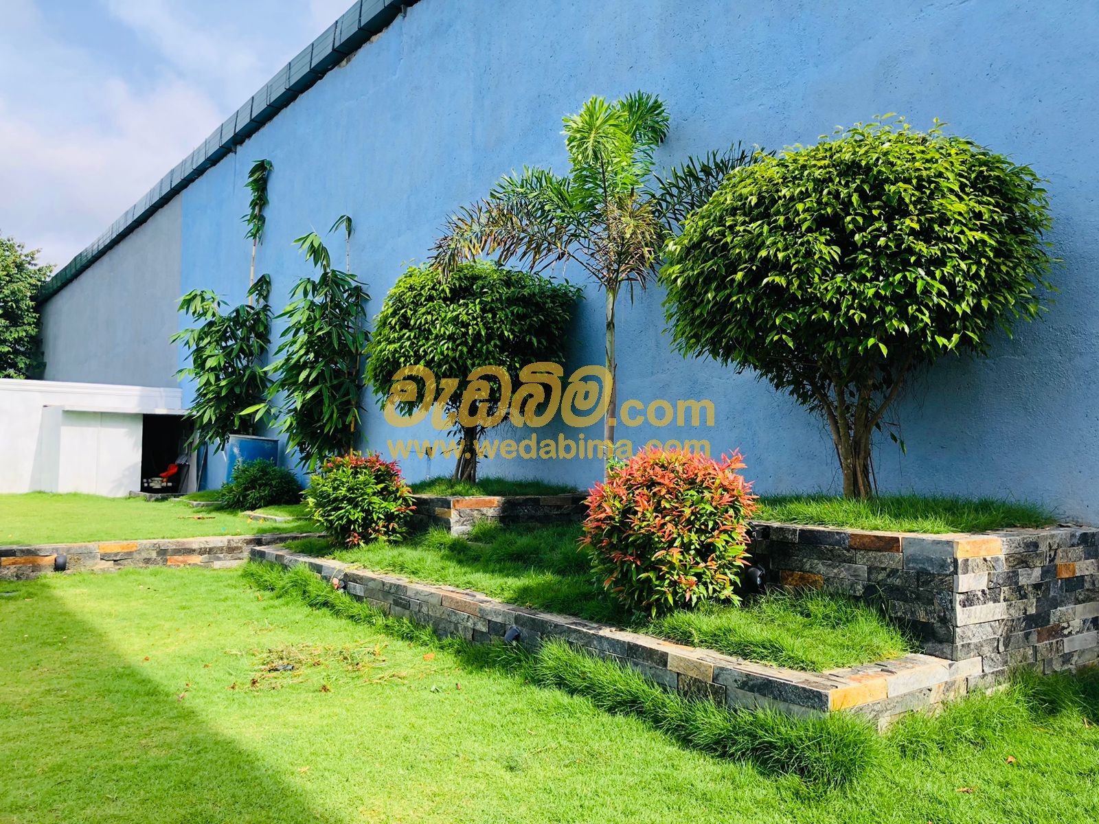 ornamental grass landscape design in sri lanka