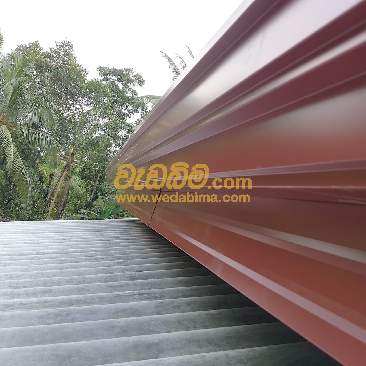 Amano Gutters Price In Sri Lanka