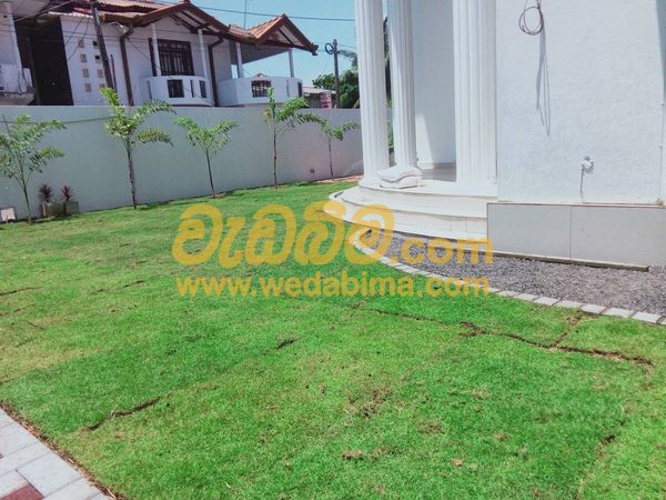 Landscaping Prices In Sri Lanka