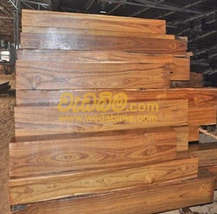 Teak Wood Price in Gampaha