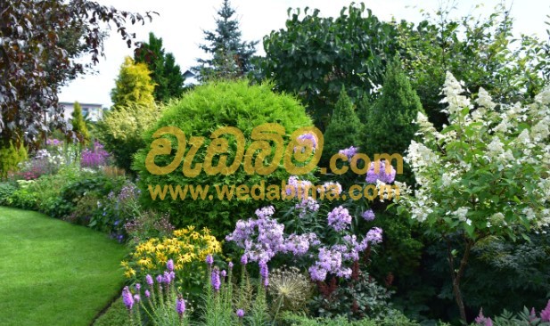 Landscape and Garden designers Sri Lanka