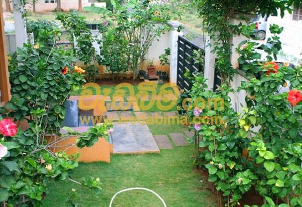 landscaping solution in sri lanka