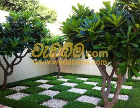 Cover image for low budget home garden designers in sri lanka