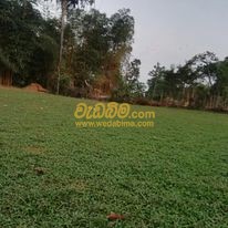 garden maintenance services sri lanka