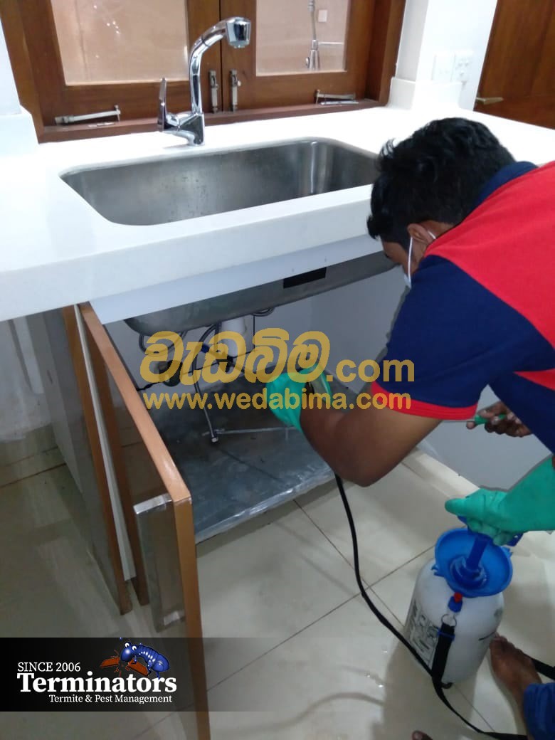 anti termite treatment price in sri lanka