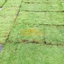 landscaping contractors in Badulla