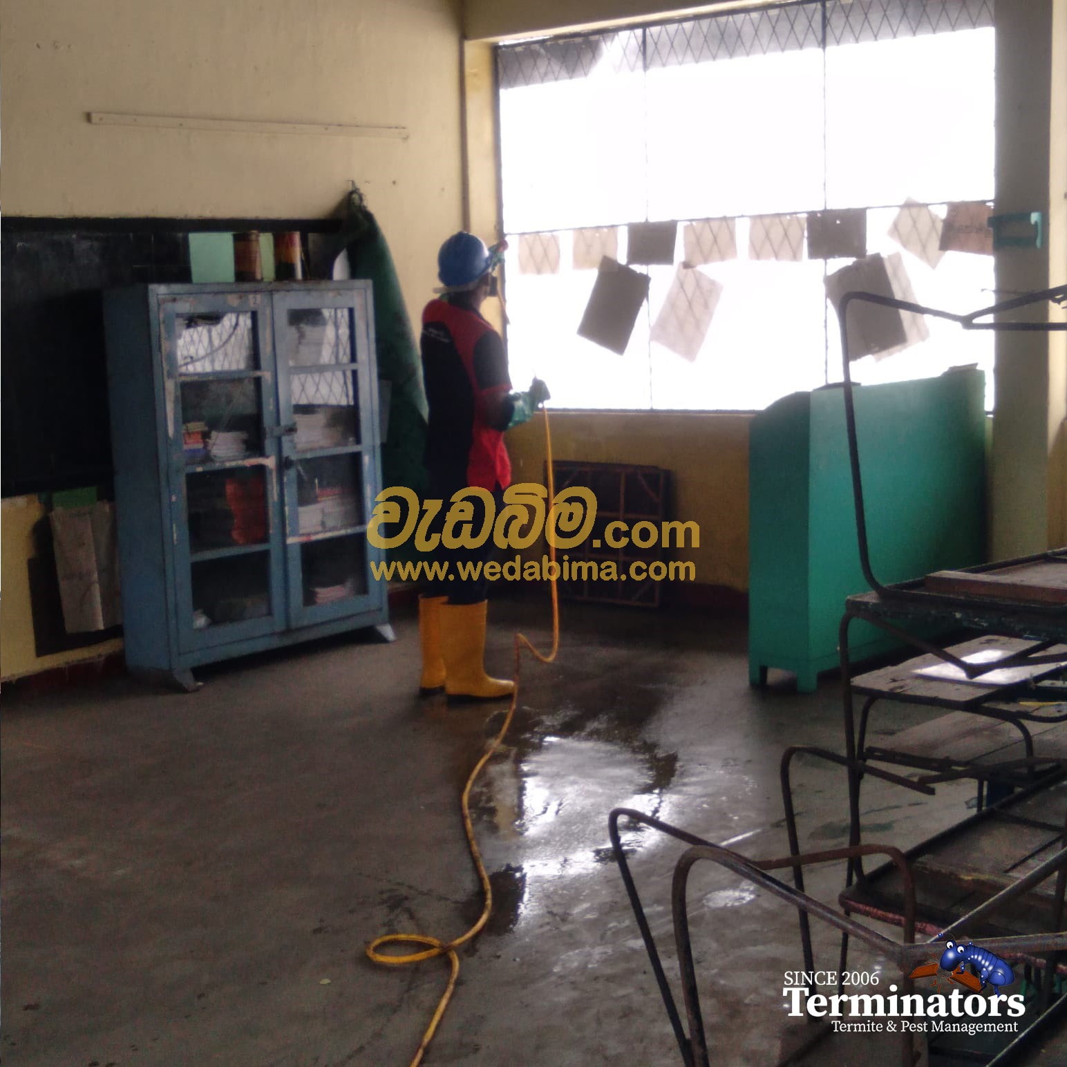 Termite treatment kandy