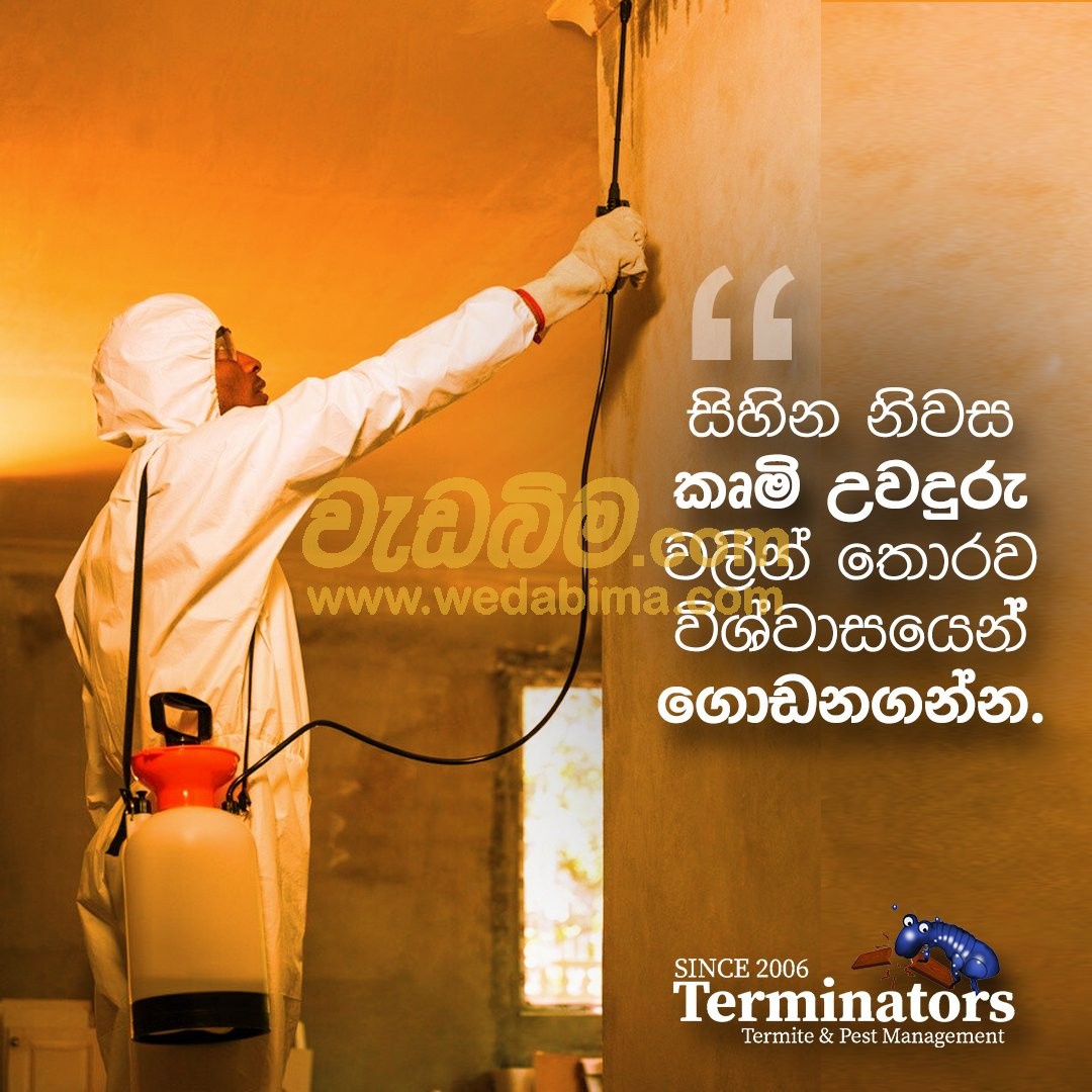 pest control service price in ampara