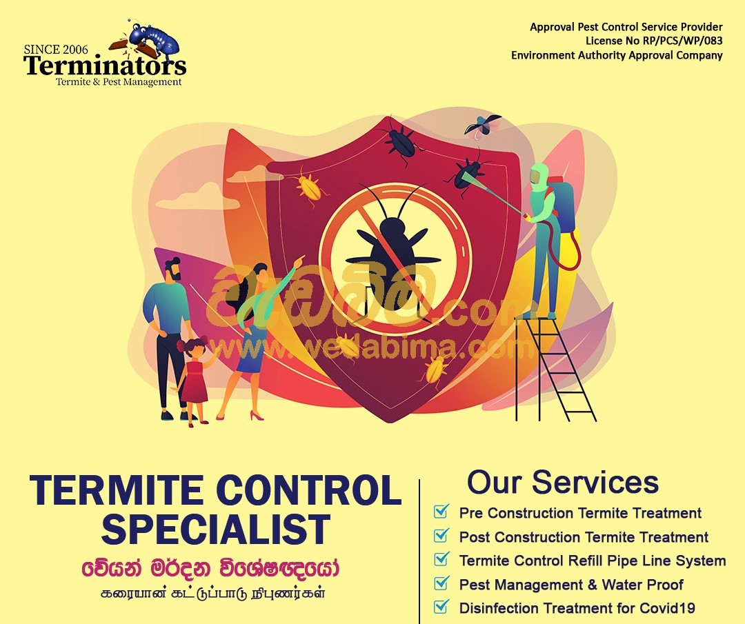 Termite treatment - batticalo