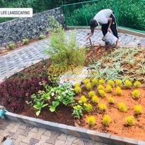 Landscape and Garden designers Sri Lanka