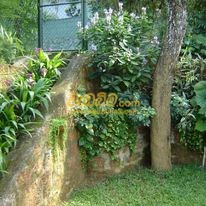 landscaping prices in sri lanka