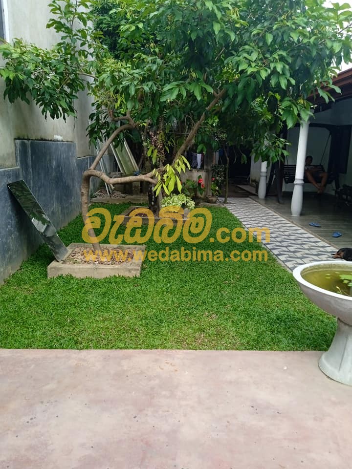 landscaping contractors in colombo