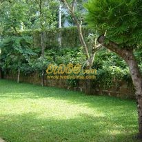 Landscape and Garden designers Sri Lanka