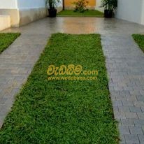 Interlock paving price in Sri Lanka