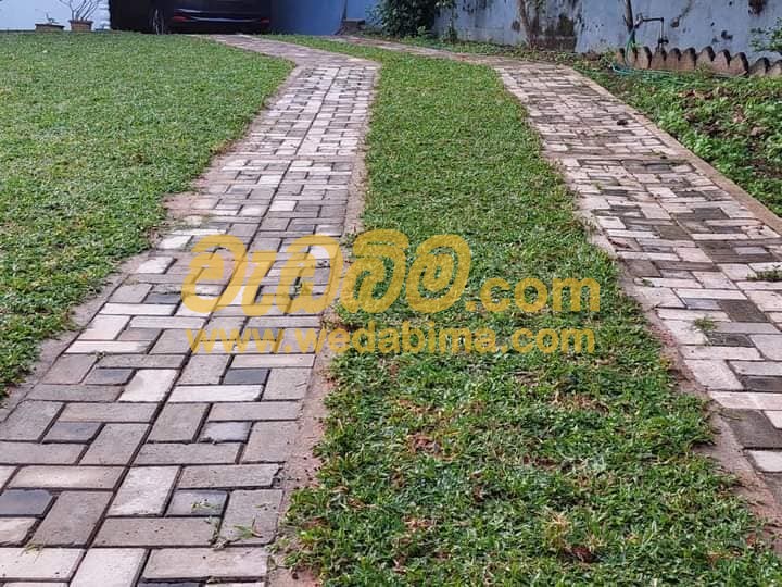 Cover image for Decorative Interlock Paving Price In Sri Lanka