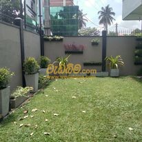 landscaping for small gardens in sri lanka