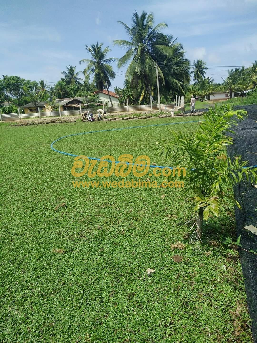 landscaping for small gardens in sri lanka