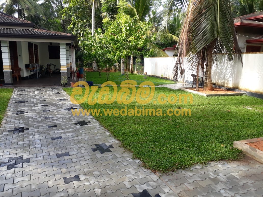 interlock paving designs sri lanka