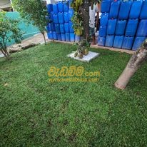 landscaping solution in sri lanka