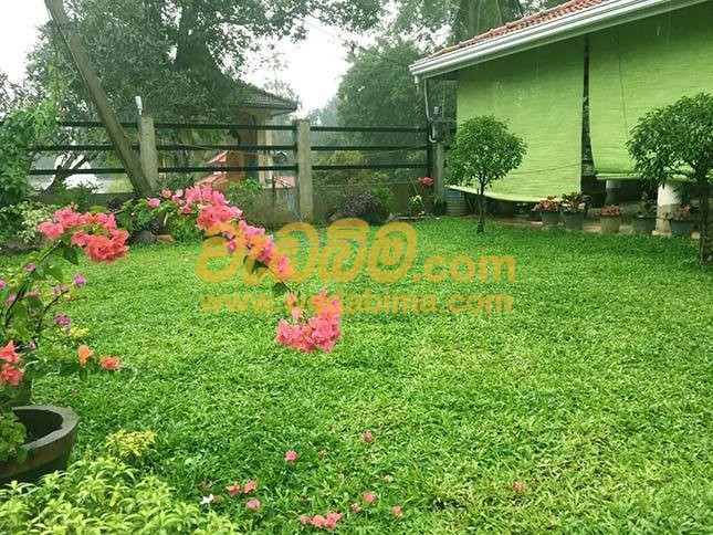 Landscaping work price in middeniya