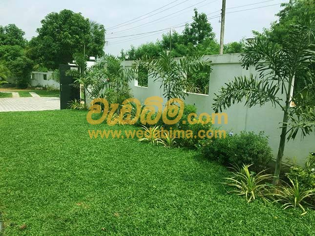 Garden decorate work price in middeniya