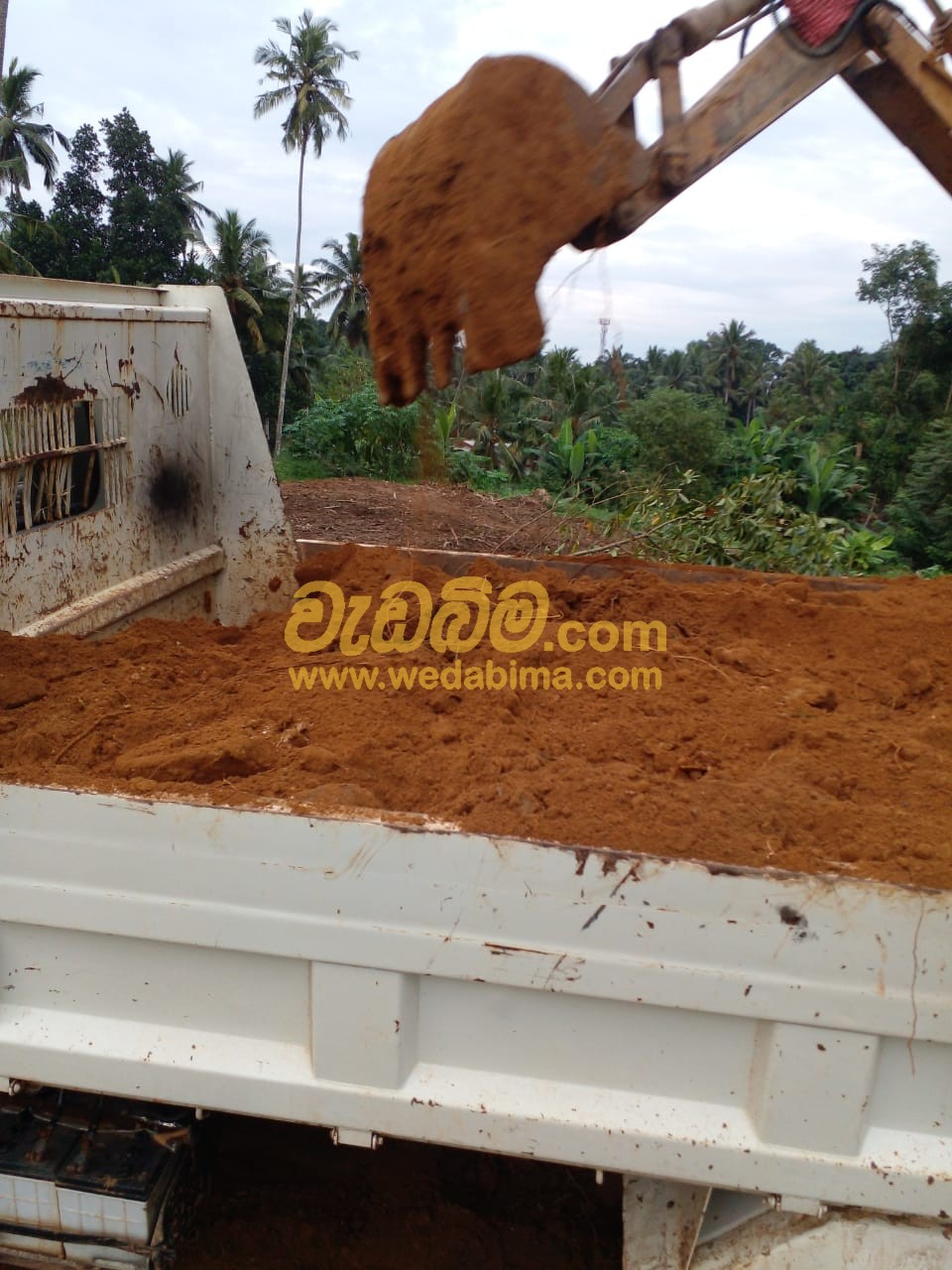 Soil Suppliers in Colombo