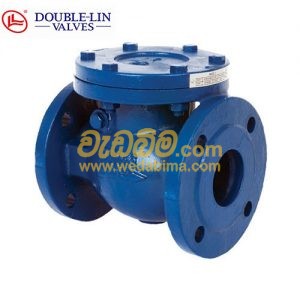 Swing Check Valve PN-16 Cast Iron