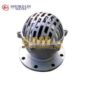 Foot Valve, Flange Type Cast Iron