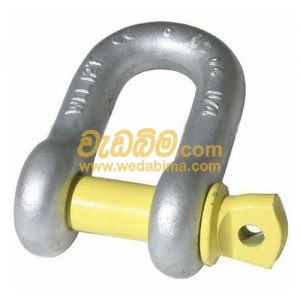 D Shackle Galvanized