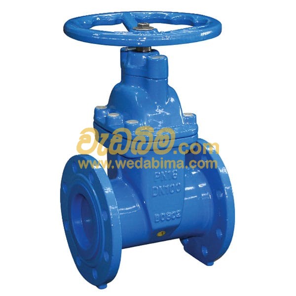 flanged gate valve price in sri lanka