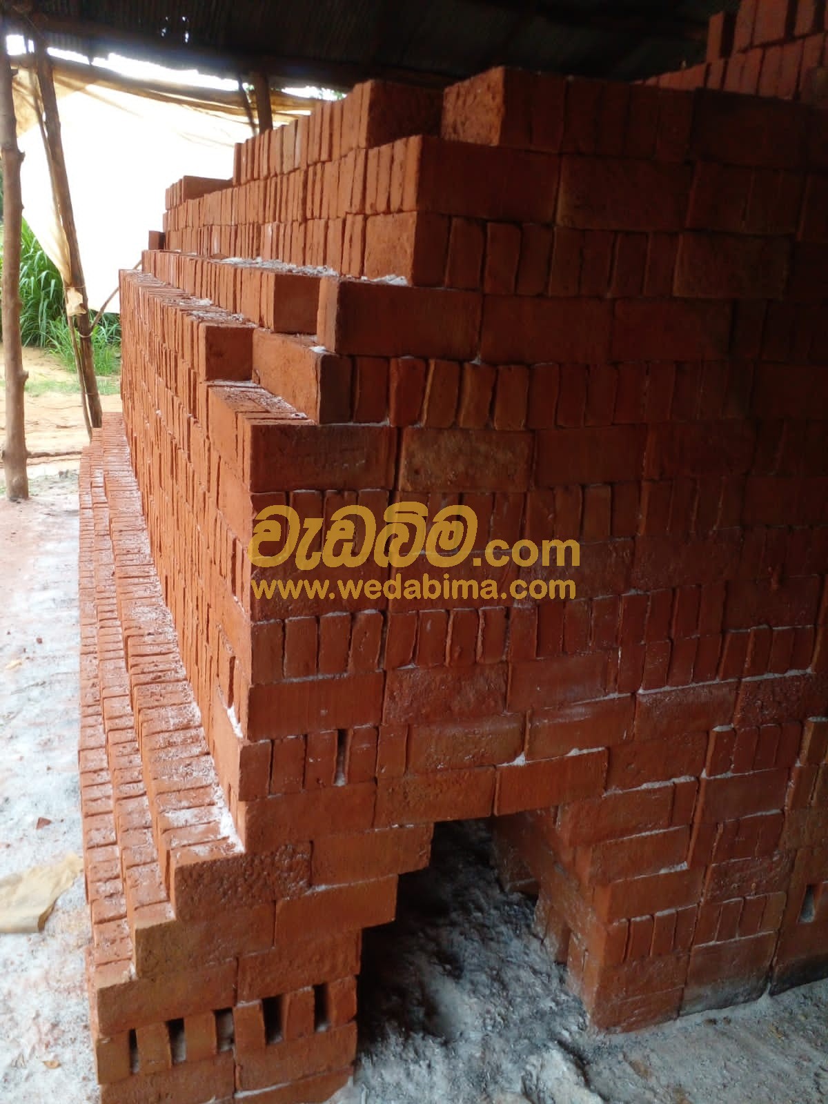 Red Clay Bricks Latest Price - Sri Lanka