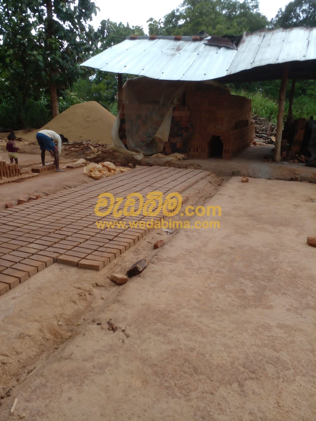 Engineering Bricks (Gadol) Price in Sri Lanka