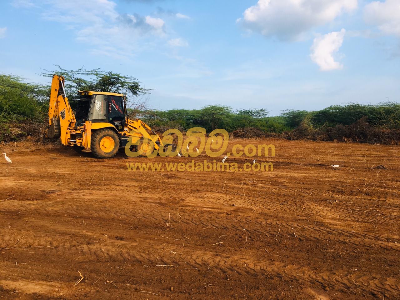 JCB In Gampaha