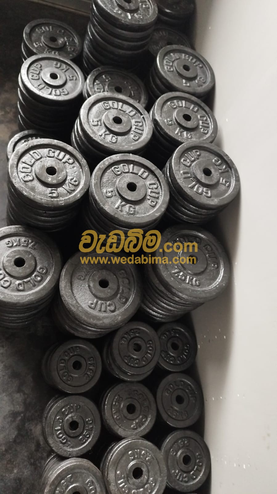 Cast Iron Weight Plates Price In Sri Lanka