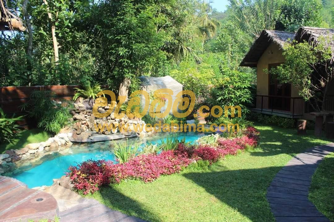 landscaping price in sri lanka